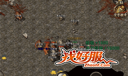 ÿ�������������������������Ľݾ�