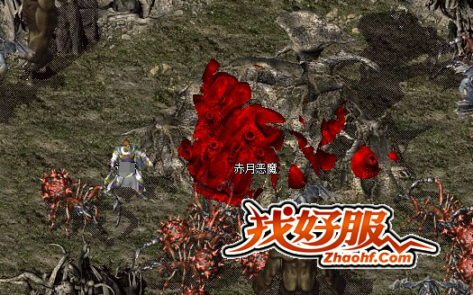 ��ʿ���������ǻۣ�������ʱ��������֮��