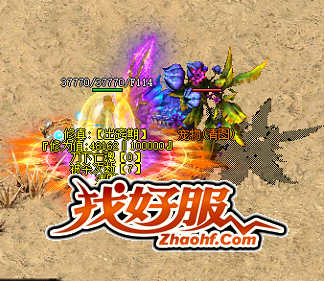 ��ʦ�������޷����